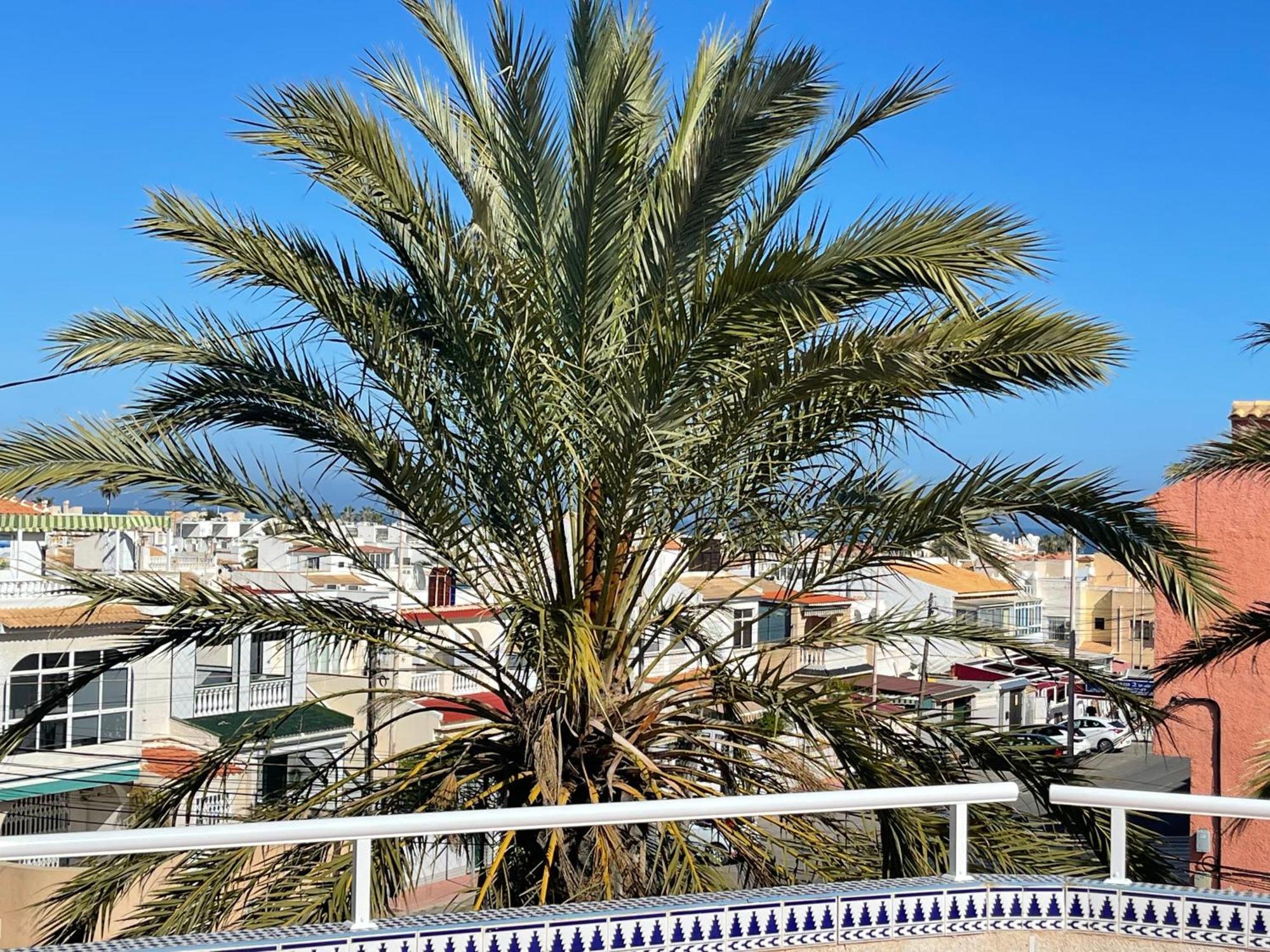 Anna'S Garden Bed & Breakfast Torrevieja Exterior foto